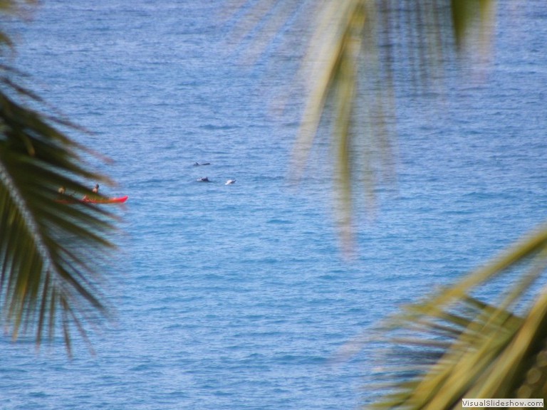 Hawaii 12-13 (11)