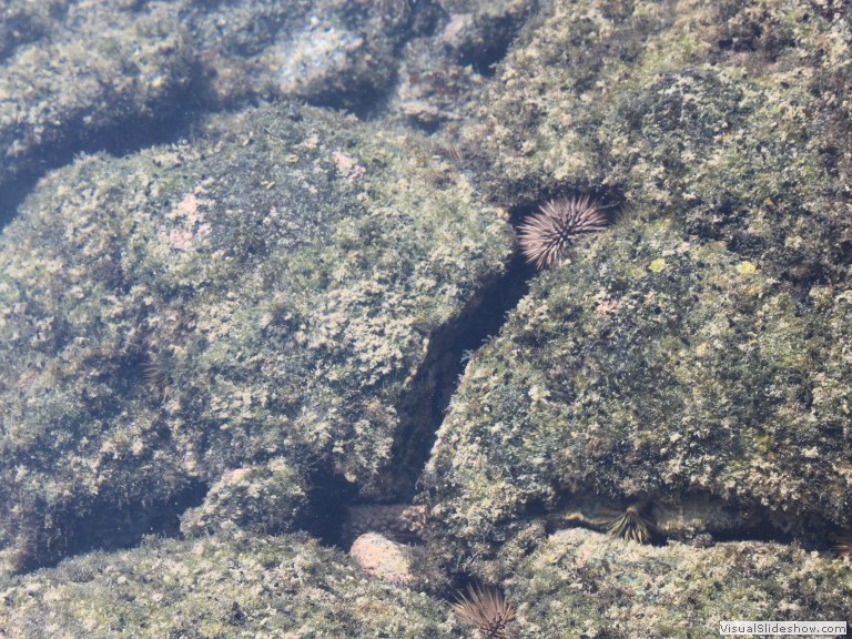 Hawaii 12-13 (208)