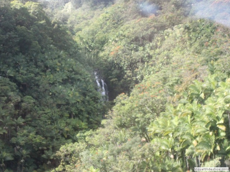 Hawaii 12-13 (34)