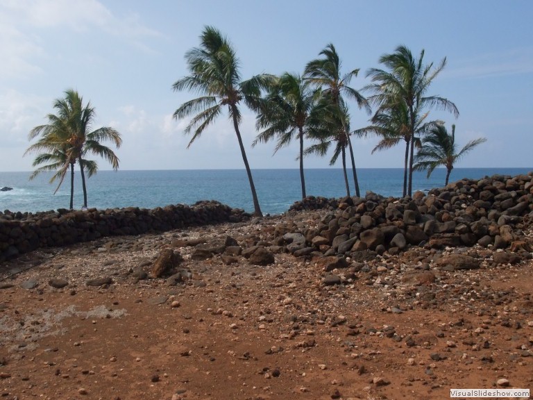 Hawaii 12-13 (665)