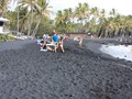 Hawaii 12-13 (127)