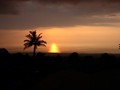Hawaii 12-13 (135)