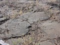Hawaii 12-13 (187)