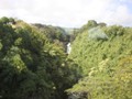 Hawaii 12-13 (37)