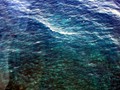 Hawaii 12-13 (505)