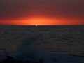 Hawaii 12-13 (626)
