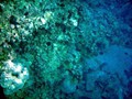 Hawaii 12-13 (792)