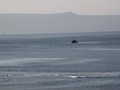 IMG_2535