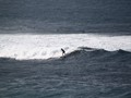IMG_2702