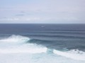 IMG_2831