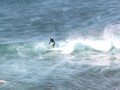 IMG_3031