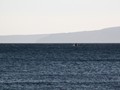 IMG_3215