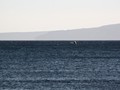 IMG_3216