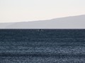 IMG_3219