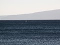 IMG_3221