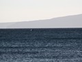 IMG_3224
