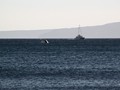 IMG_3226