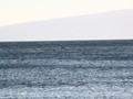 IMG_3261