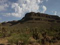 IMG_8337